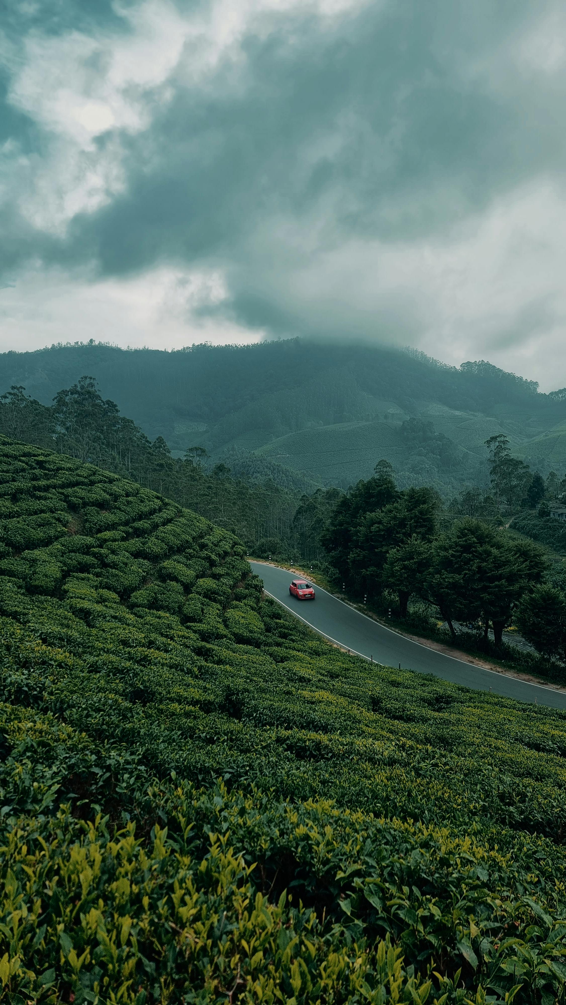 listing-details-carousel